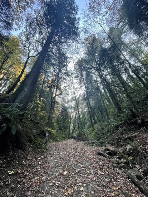 Quick hike during my work trip. Can’t believe how close this is to ...