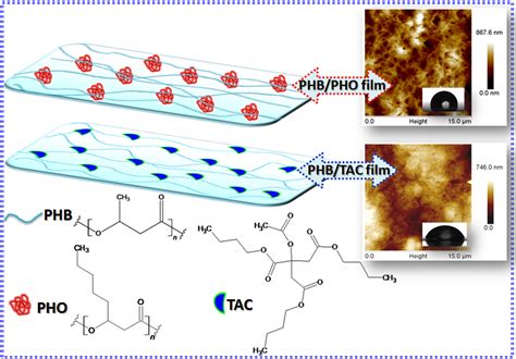 Low Molecular Weight and Polymeric Modifiers as Toughening Agents in ...