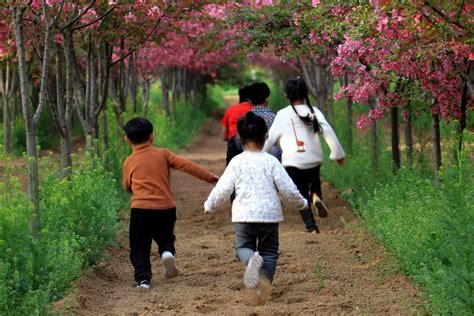 安徽经典自驾游线路集锦：皖南川藏线、皖江风景道、环巢湖风景道等你来挑战！ - 知乎