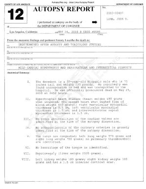 Fillable Online org - Jose Lima Autopsy Report Fax Email Print - pdfFiller