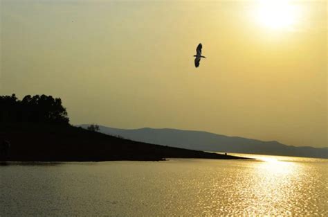 Hirakud dam - It is the longest earthen dam in the world.