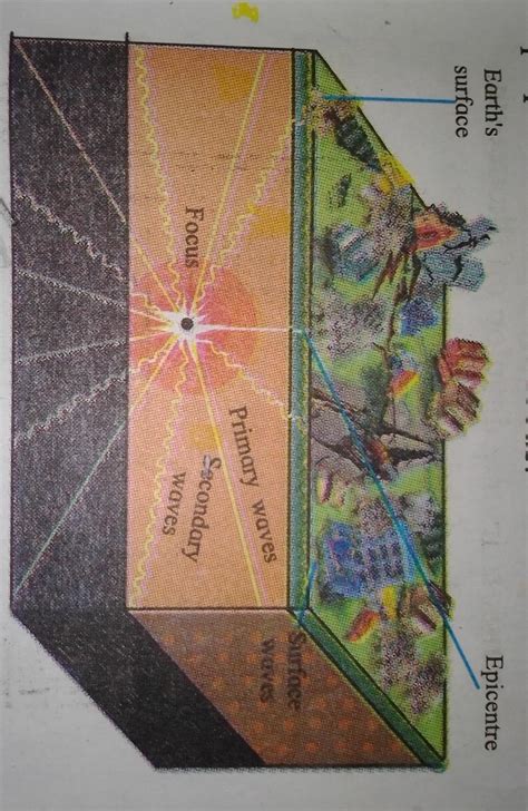 Show the epicenter focus the primary secondary and surface wave of an ...