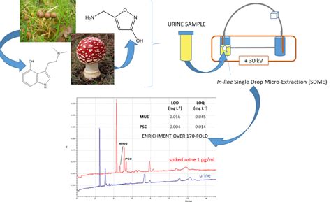 Direct Analysis of Psilocin and Muscimol in Urine Samples Using Single ...