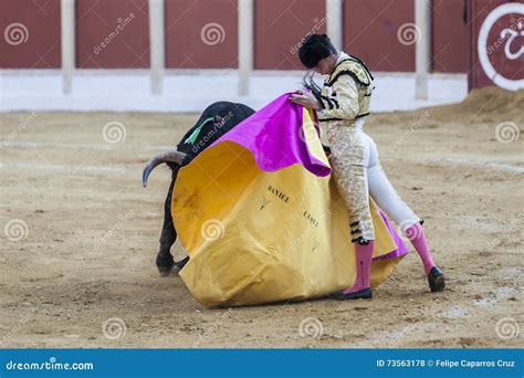 The Spanish Bullfighter Daniel Luque Bullfighting with the Crutch in ...