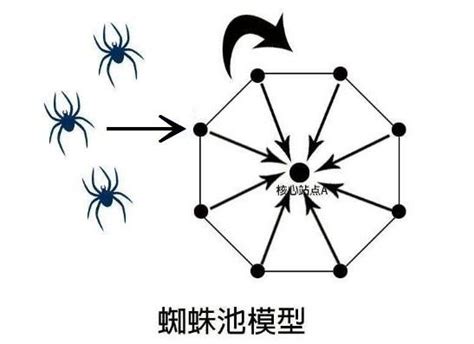 【教程】用蜘蛛池实现城市站群的方法和配置-小旋风SEO