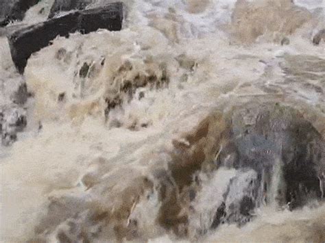 Heavy rains disrupt life in Gujarat: 10 districts under orange alert ...