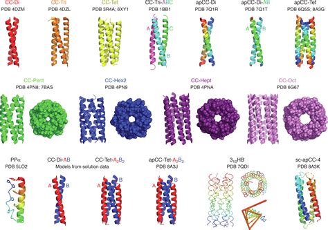 Understanding a protein fold: The physics, chemistry, and biology of α-helical coiled coils ...