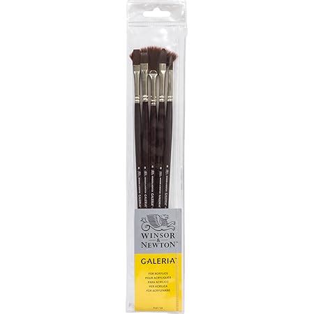 Winsor & Newton Winton Long Handle Brush (5 Pack) (Round 6, Filbert 6 ...