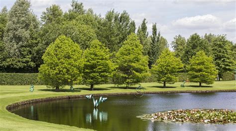 CAMPING DE TOL (Koekange) - Campground Reviews & Photos - Tripadvisor