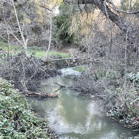 Stevens Creek County Park hiking trails – Bay Area Fashionista