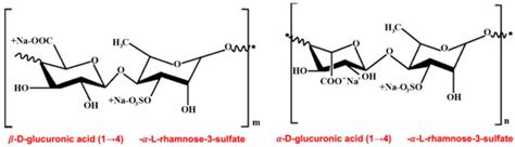 Marine Algae Polysaccharides as Basis for Wound Dressings, Drug ...