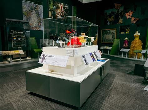 Mar 1 | Make It A Weekend Of Discovery—Visit Local Museums For Free ...