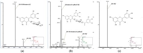 Antioxidant Activity in Rheum emodi Wall (Himalayan Rhubarb)