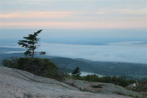 Xgboost Install Python 的图像结果