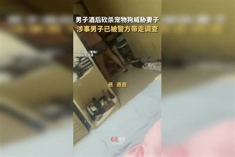5月28日（发布），山东菏泽#男子砍死柯基威胁妻子，目前涉事男子已被警方带走调查。
