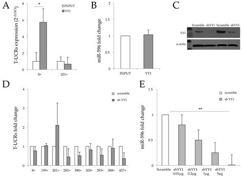 New Cross-Talk Layer between Ultraconserved Non-Coding RNAs, MicroRNAs ...
