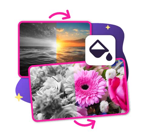 Image result for Colorize Photo Software