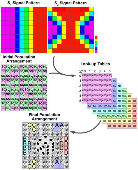 Chronological Pattern 的图像结果