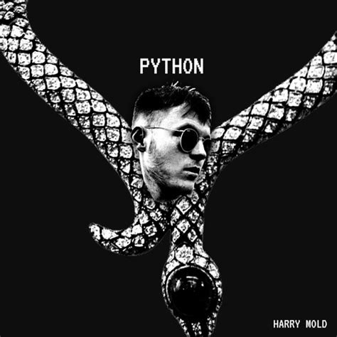 Image result for Code with Harry Python Plastist