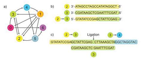 Image result for How to Program DNA