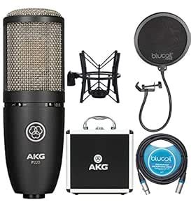 AKG P220 Large-Diaphragm Condenser Microphone for Vocal Recording ...