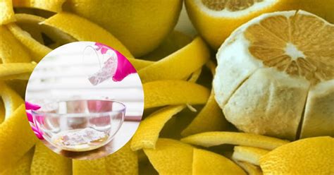 Por qué recomiendan mezclar cascaritas de limón y agua oxigenada: para ...