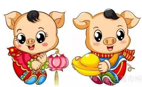 不同年份属猪人2019运势简析 2007年出生的属猪人第一个本命年-属猪-国学梦