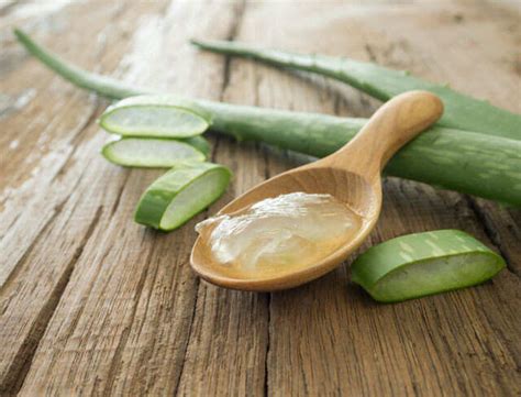 Using Aloe Vera for Naturally Healthy, Shiny Hair | Femina.in