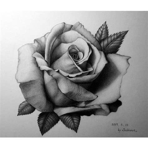 Realistic rose drawing – Artofit