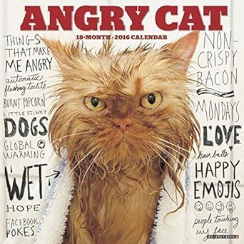 Angry Cat 2016 Calendar : Willow Creek Press: Amazon.in: Books
