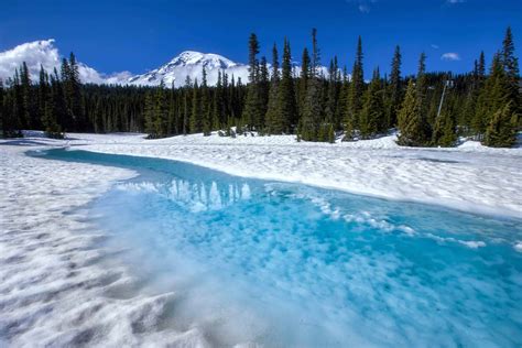 Image result for Text Align HTML Code