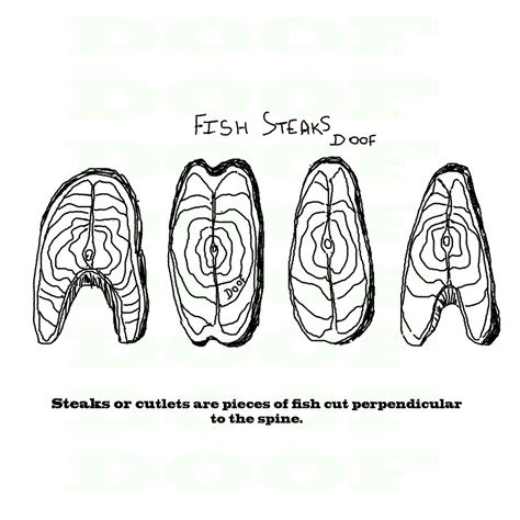 Bhetki/Dangri/Asian Sea Bass Curry Cut - With Head - Doof