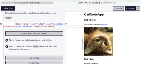 Free Code Camp Python 的图像结果