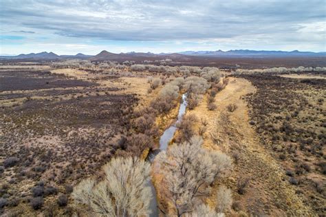 Photos: San Pedro River, Arizona - The Water Desk