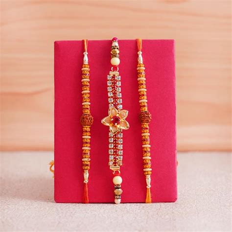 Send Three Rakhis with Jade Plant N Money Plant Combo Online