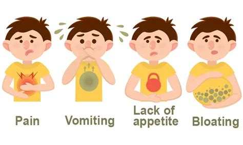 Image result for Signs of Digestive Problems