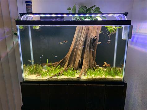 Tetra 29 Gallon Aquarium Hood at Joyce Sargent blog
