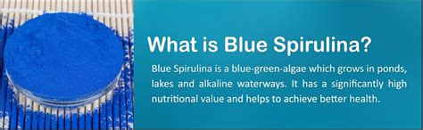Urban Platter Blue Spirulina Powder