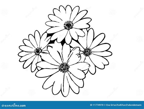 Simple Flower Drawing Outline