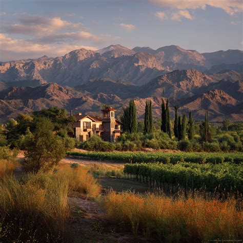 Discover Argentina’s High-Altitude Wine Secrets
