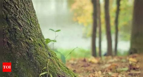 In a first, Bondla Wildlife Sanctuary to open for guided trails in Goa ...