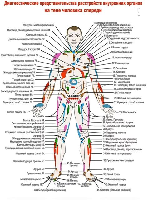 The human body pressure points – Artofit