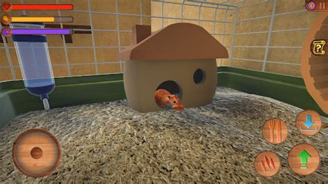Java Hamster Simulator 的图像结果
