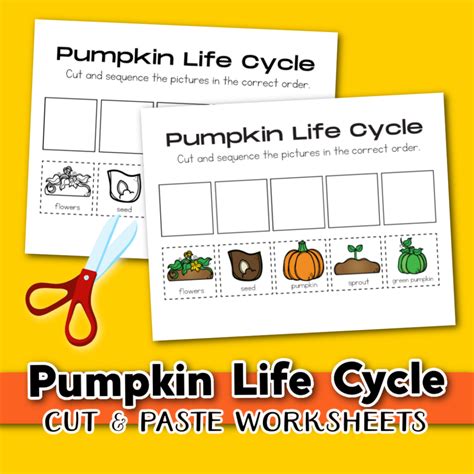Life Cycle Of A Pumpkin Free Printable