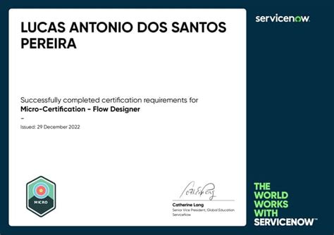 Image result for Micro Certification Task