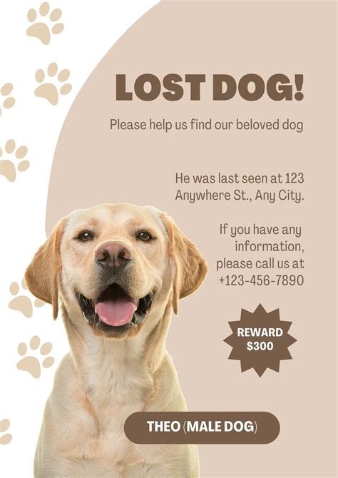 Missing Pet Poster Template