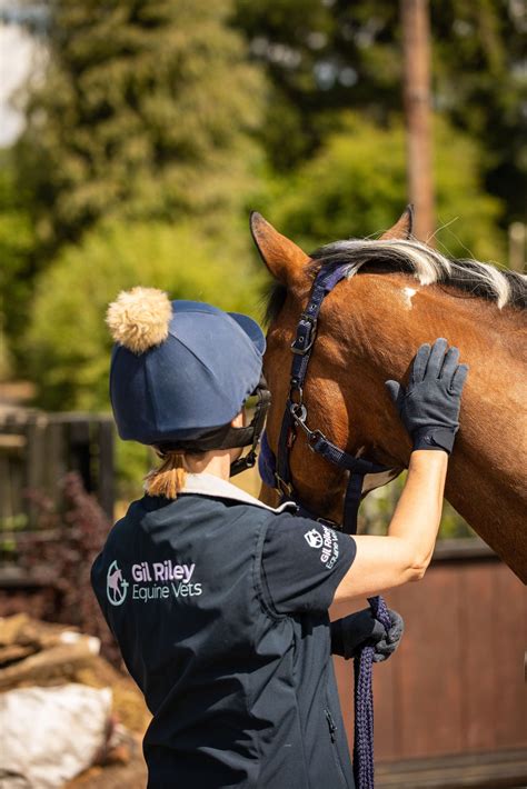 Eclipse Veterinary Software