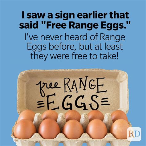 Egg Jokes Quotes Egg Humor Geek Jokes Birthday Statement Funny Cool'