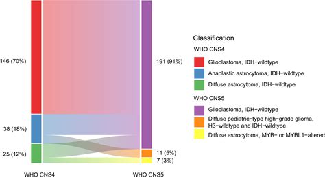 Frontiers | Histological and molecular glioblastoma, IDH-wildtype: a ...