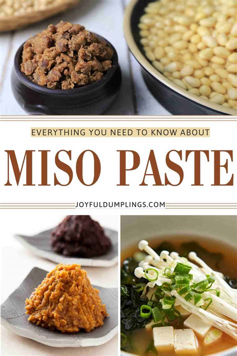 What Is Miso Paste and How To Use Them? A Must-have Secret Ingredient ...